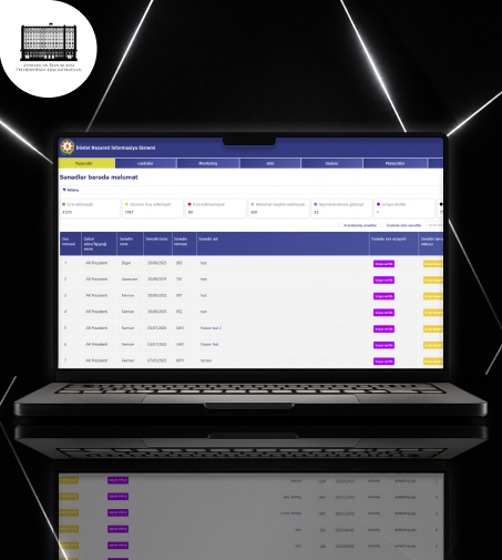 DNIS (State Control Information System)